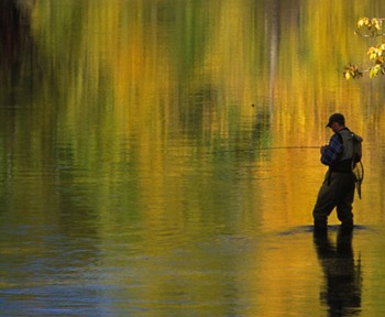 About The Clark Fork River