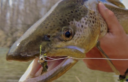 Rock Creek Fishing Report – 4/9