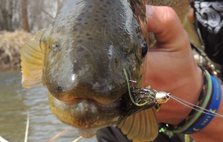 Rock Creek Fishing Report: 4/28