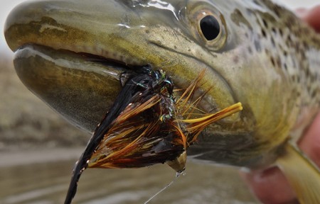 Streamer fishing isn’t that far away – load up now.