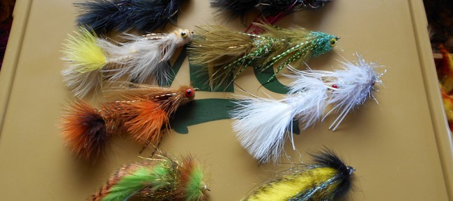 The ever expanding collection of Kingfisher fuzzy stuff