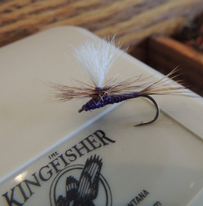 Bitterroot report – 5/5 – The Kingfisher Fly Shop