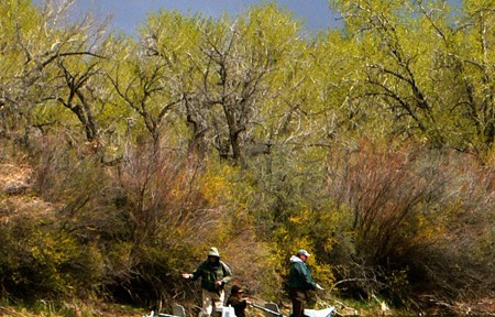 Blackfoot River Fishing Report – 7/20