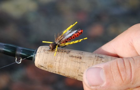 Blackfoot River Fishing Report – 8/19