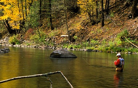 Rock Creek Fishing Report - 3/25