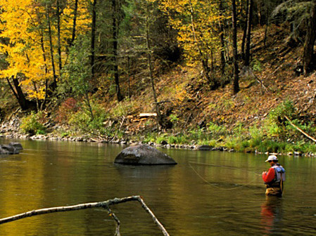 Rock Creek Fishing Report – 9/15 – The Kingfisher Fly Shop