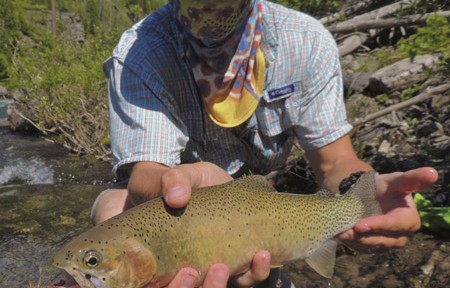 Blackfoot River Fishing Report – 9/17