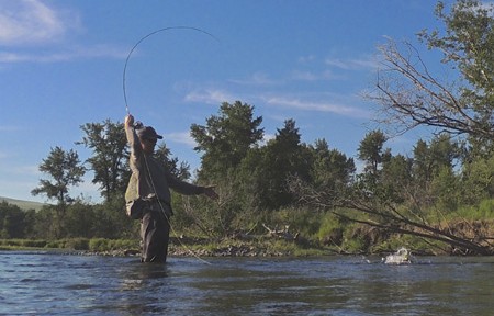 Blackfoot River Fishing Report – 4/25