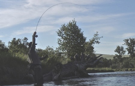 Clark Fork River Fishing Report – 10/2