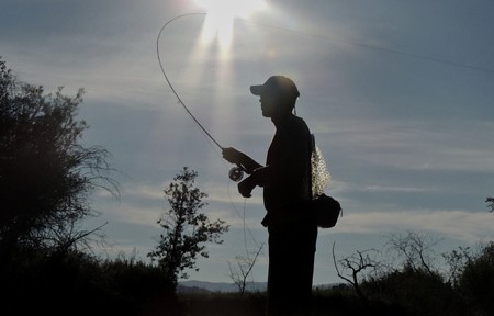 Clark Fork River Fishing Report – 7/3