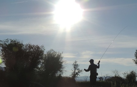 Clark Fork River Fishing Report – 9/17