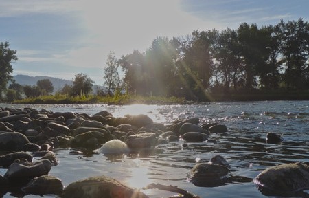 Clark Fork River Fishing Report – 3/31