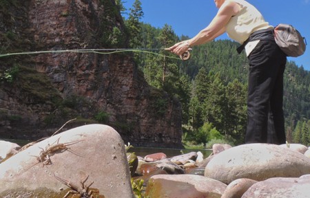 Blackfoot River Fishing Report – 6/7