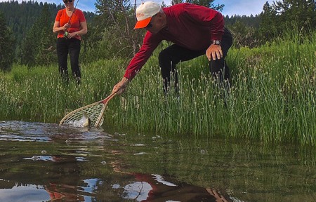 Blackfoot Fishing Report – 8/26