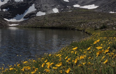 Clark Fork Fishing Report – 6/20