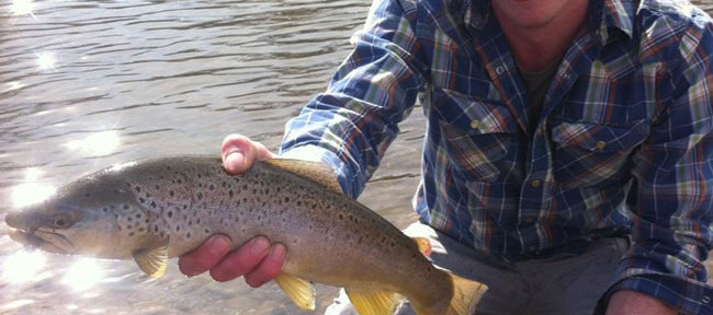 Clark Fork River Fishing Report - 3/17