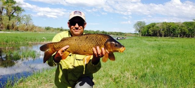 Missouri river carp fishing