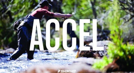 A Review of the Sage Accel Switch Rod