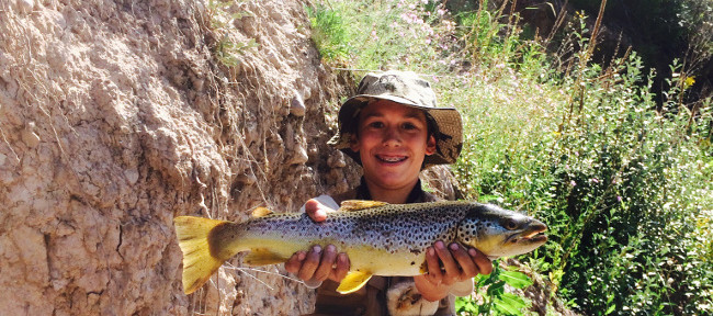 Dry fly fishing blackfoot river