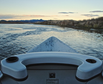 Missouri River Fishing Report – 11/2