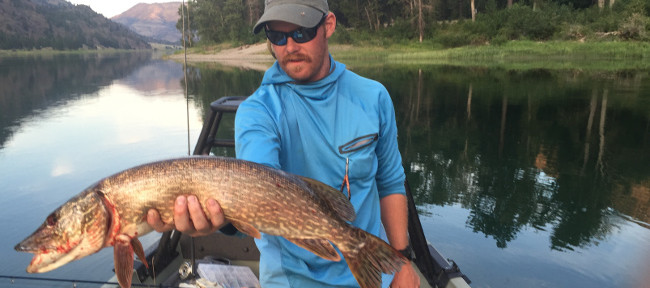 Fly Tying Polar Pike Minnow