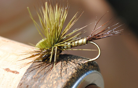 Fly Tying Green Drake Nymph