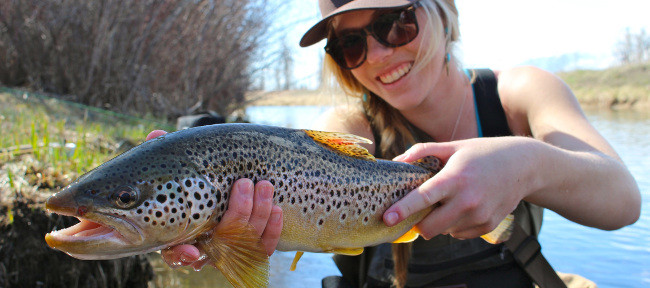 Fall Streamer Fishing