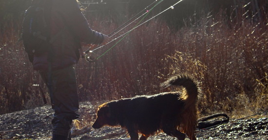 Blackfoot Fishing Report – 6/22