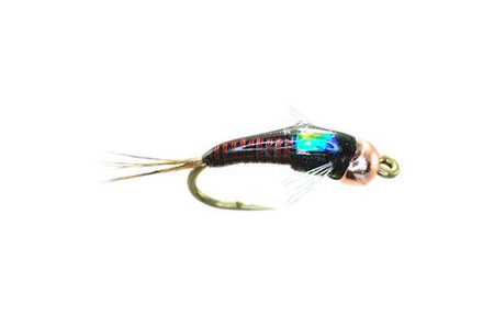 Top Tailwater Nymph Patterns For Montana