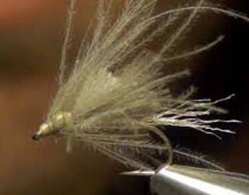 Fly Tying Cornfed Caddis