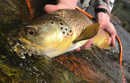 Fly Tying The Party Girl